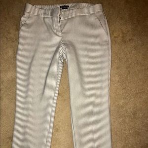 Express columnist ankle dress pants